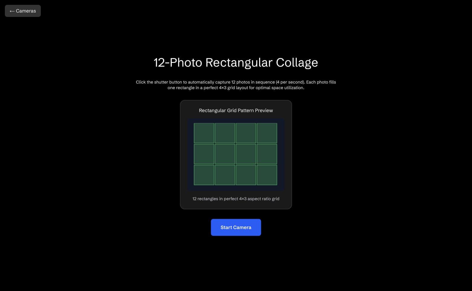 Twelve-photo camera collage preview arranged in a four-by-three grid.